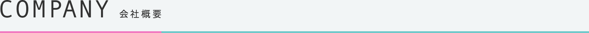 COMPANY 会社概要
